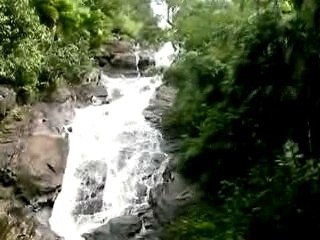 Une cascade aux Seychelles