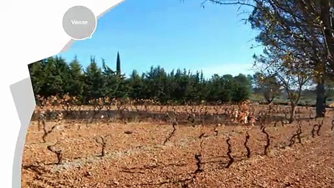 A vendre - Terrain - Cotignac (83570) - 1 885m²