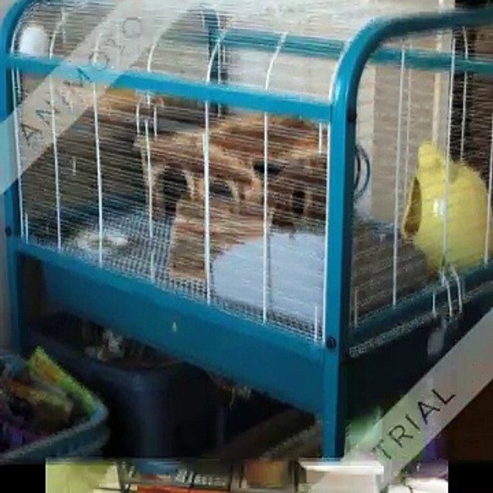 Cage Reviews