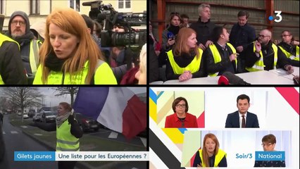 "Gilets jaunes" : et maintenant, une liste pour les Européennes ?