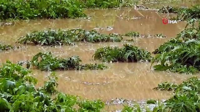 Çeşme'de Sel Suları Yolu Yardı