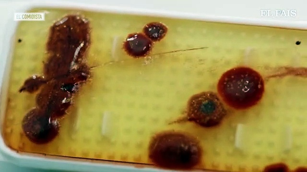 Hay un trapo lleno de bacterias en tu cocina