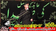 Zakir Hasnain Abbas Mudrisa Chatha 17th Muhram 1440(2018) Choti Behak Hafizabad