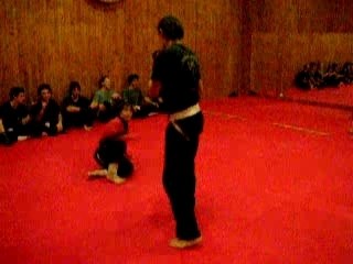 Combat kung fu jeet kune do