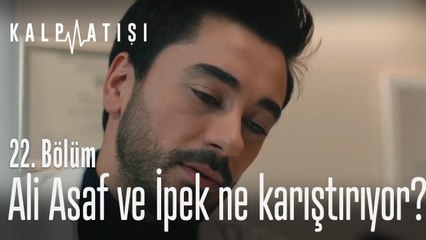 Ali Asaf ve İpek ne karıştırıyor? - Kalp Atışı 22. Bölüm