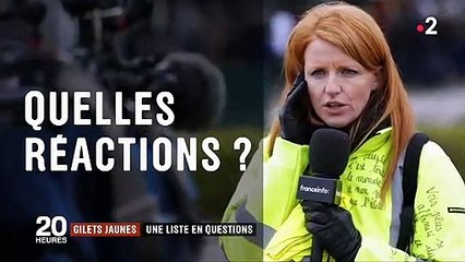 Gilets jaunes : Quelles réactions après la formation d'une liste pour les Européennes ?