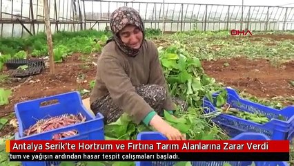 Antalya Serik'te Hortrum ve Fırtına Tarım Alanlarına Zarar Verdi