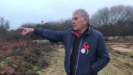 Des escargots de Quimper sur le site de la centrale ?