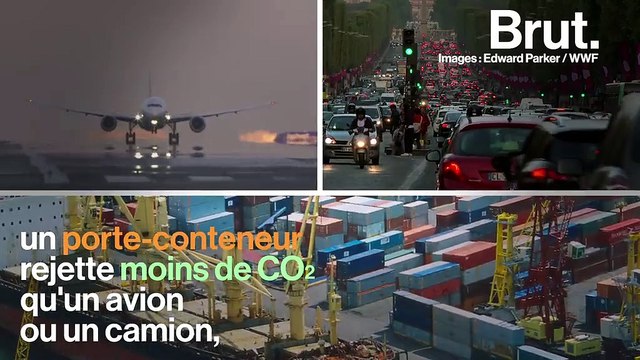 Porte-conteneurs, supertanker, navires de croisières... Ces bateaux géants causent une importante pollution de l'air