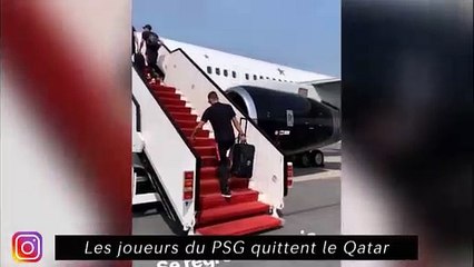 Les Dogues profitent de leur week end, les Parisiens de retour au Camp des Loges
