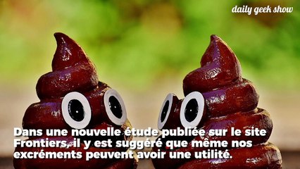 Transplanter de la matière fécale contre certaines maladies