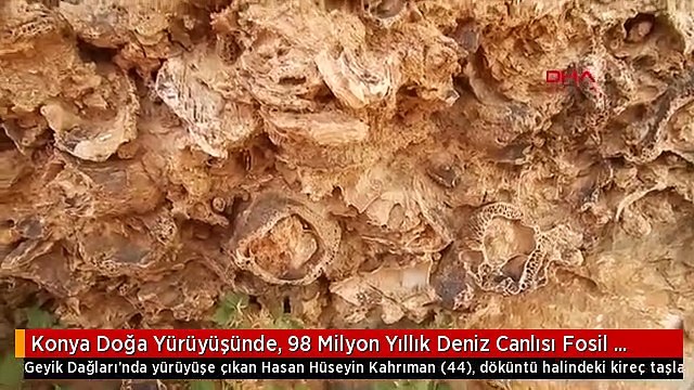 Konya Doğa Yürüyüşünde, 98 Milyon Yıllık Deniz Canlısı Fosil Yatağı Buldu