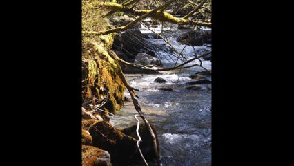 LA PETITE RIVIERE - Photographies de Bertrand Leroux - Musique de Michel Allain