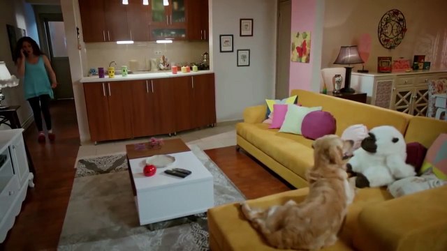 Nisan ve Ayla çığlık çığlığa! - Acil Aşk Aranıyor 10. Bölüm