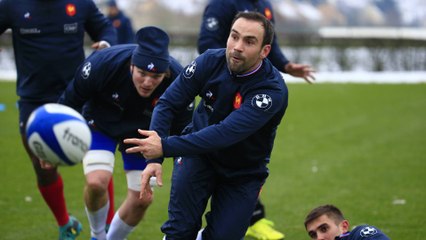 XV de France : Morgan Parra, le Bleu d’Auvergne