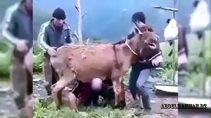 Man ... the most powerful in the world