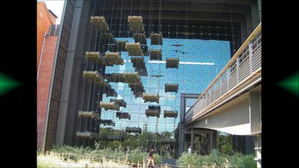 Im sheene Bitcherland