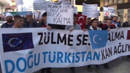 Rize'de Doğu Türkistan protestosu