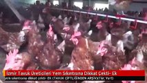 İzmir Tavuk Üreticileri Yem Sıkıntısına Dikkat Çekti- Ek