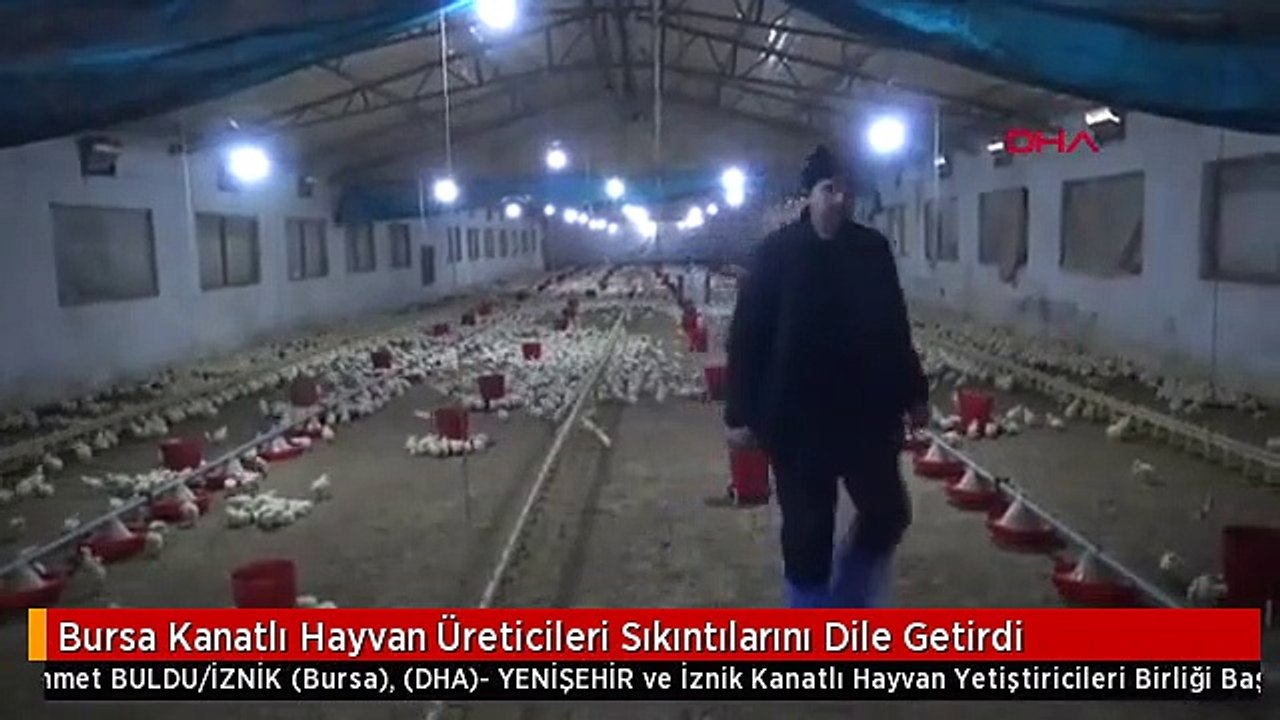 Bursa Kanatlı Hayvan Üreticileri Sıkıntılarını Dile Getirdi