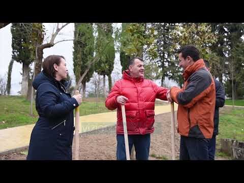 Veliaj: 150 mijë pemë brenda vitit - News, Lajme - Vizion Plus