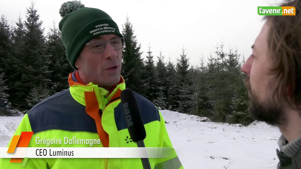 L'Avenir - Des éoliennes en pleine forêt