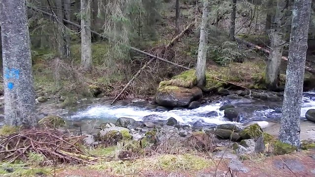 Demanovka River Nizke Tatry in Slovakia