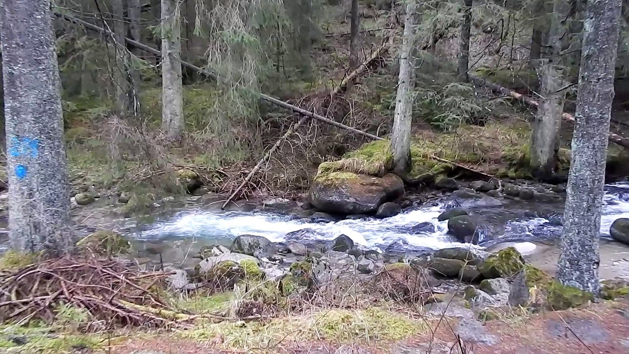 Demanovka River Nizke Tatry in Slovakia