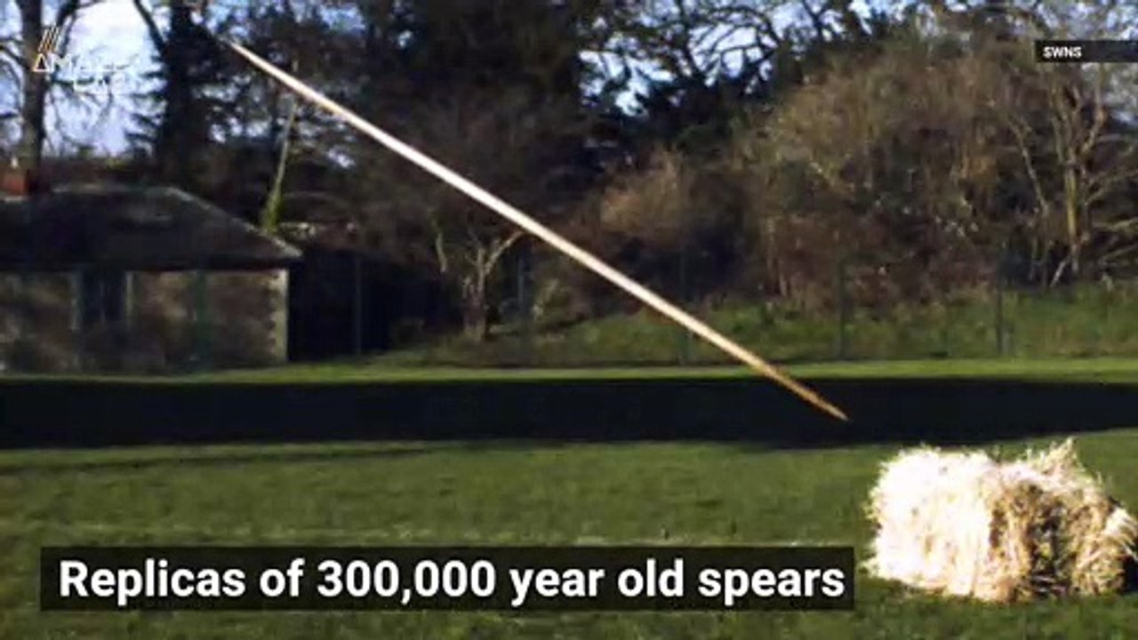 Hunting Spears Used By Neanderthals Were Able to Kill at a Distance