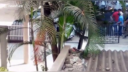 Leopard rampages through crowded Indian neighbourhood, injuring three