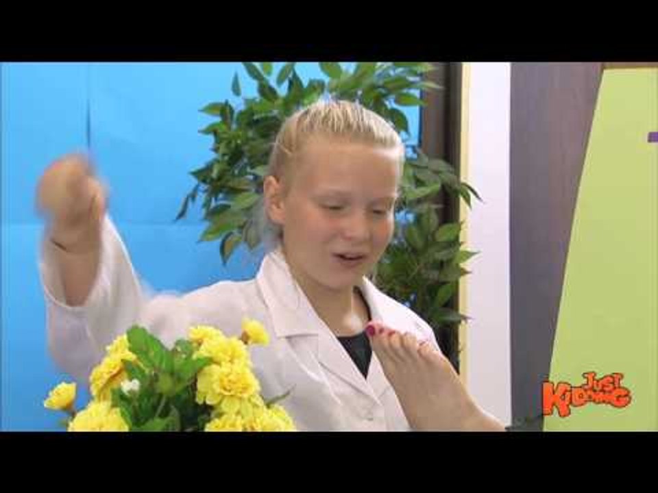 Smelling Stinky Feet Prank video Dailymotion