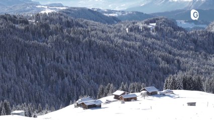 VOYONS VOIR - 24 JANVIER 2019