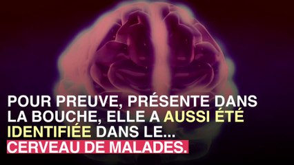 Saignement des gencives et maladie d'Alzheimer : un lien ?