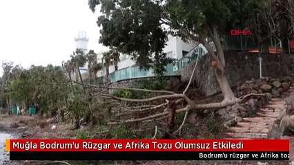 Muğla Bodrum'u Rüzgar ve Afrika Tozu Olumsuz Etkiledi