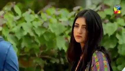 Band Khirkiyan Epi 26 HUM TV Drama 25 January 2019