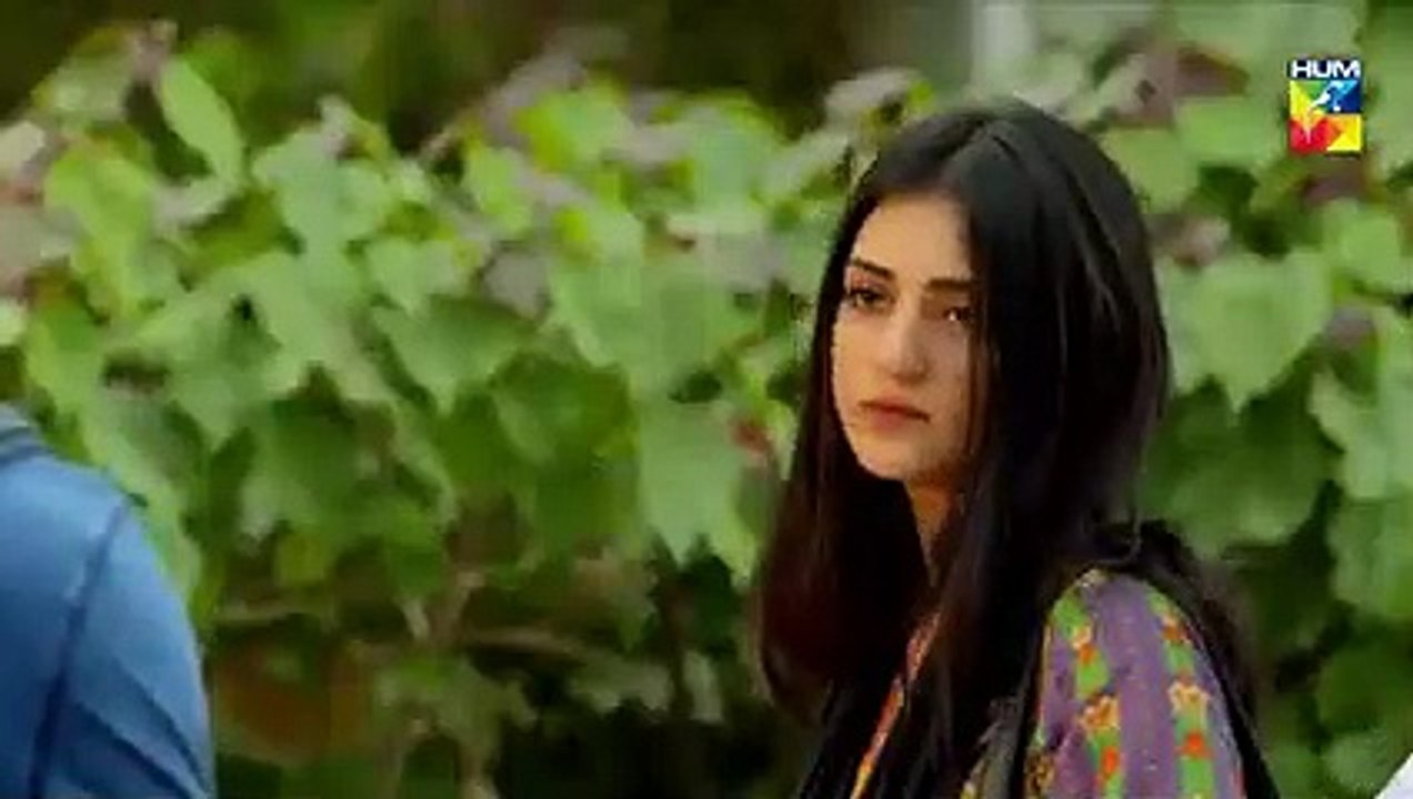 Band Khirkiyan Epi 26 HUM TV Drama 25 January 2019