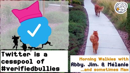 Twitter is a cesspool of verified haters #verifiedbullies -Walkies with Abby