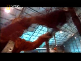 Megastrutture - Aerei giganti...!!!