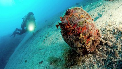 Las grandes nacras del Mediterráneo agonizan