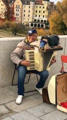 Dog Sleeps Soundly On Accordion