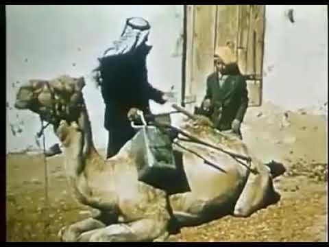 المنشد محمد الزيود - دحة سحاب || أناشيد و أغاني اردني 2019