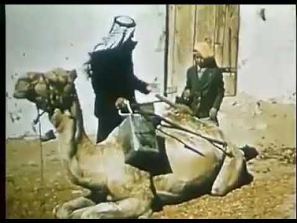 المنشد محمد الزيود - دحة سحاب || أناشيد و أغاني اردني 2019