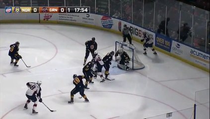 ECHL Norfolk Admirals 1 at Greenville Swamp Rabbits 0
