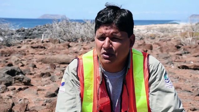 Gift-Drohnen gegen Ratten auf Galápagos-Inseln