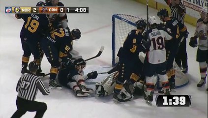 ECHL Norfolk Admirals 3 at Greenville Swamp Rabbits 0