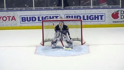 Manitoba Moose (3) Vs. Rockford Icehogs (4)