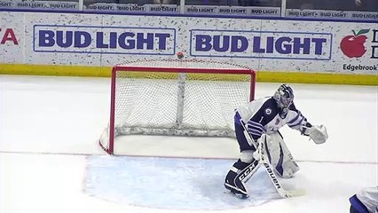 Manitoba Moose (3) Vs. Rockford Icehogs (4)