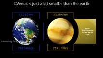 Interesting Facts about Venus  Planet Series #2  || Loyal Media