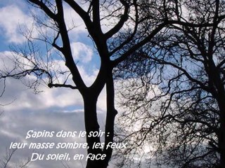 CLAIR OBSCUR - Poème de Silvaine Arabo - Musique de Michel Allain