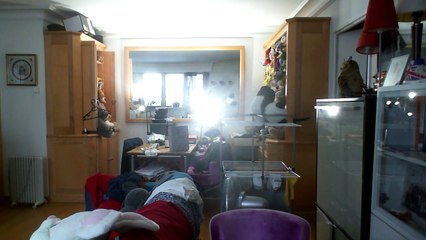 Wiwi muppetshowise "la valse de la toupie" de Vivian Roost